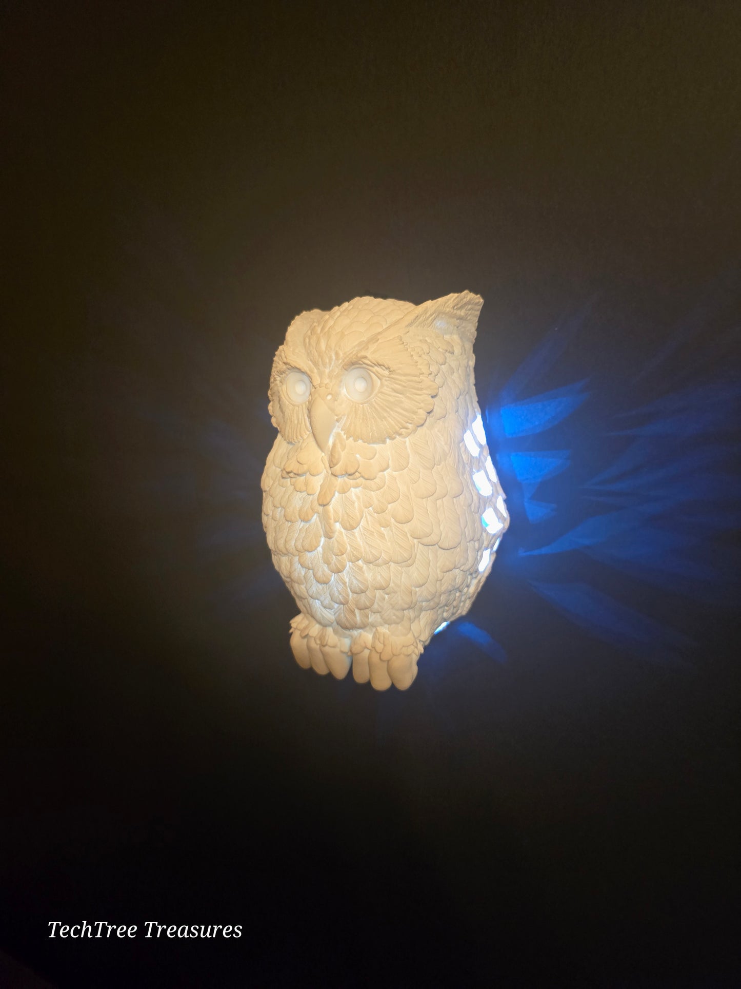 The Enchanted Day Owl Hanging Wall Light / Wall Mounted Light / Wall Art / Battery Wall Light