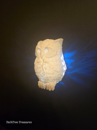 The Enchanted Day Owl Hanging Wall Light / Wall Mounted Light / Wall Art / Battery Wall Light