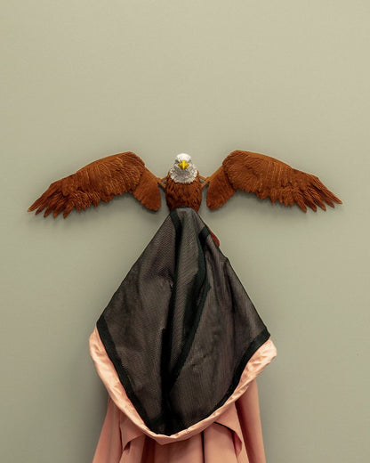 Eagle Wall Hanger for Coat/Hat/Robe/Multi Use with Auto Wing Spread In Use